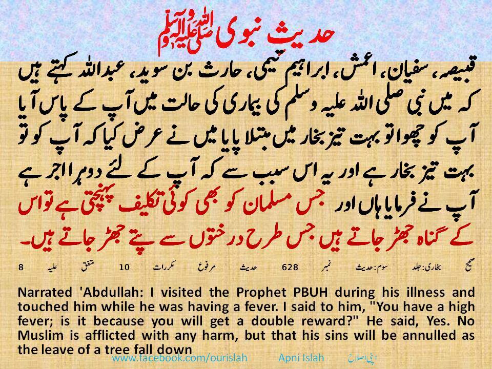 book reading essay in urdu Posts about urdu essay written by this point is beautifully explained by wasif ali wasif in his famous urdu book “dil, darya, samandar” read the rest of. book reading essay in urdu Posts about urdu essay written by this point is beautifully explained by wasif ali wasif in his famous urdu book “dil, darya, samandar” read the rest of.