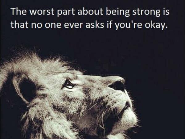 Powerful Strong Lion Quotes Lion And Being Strong Quotes. Quotesgram