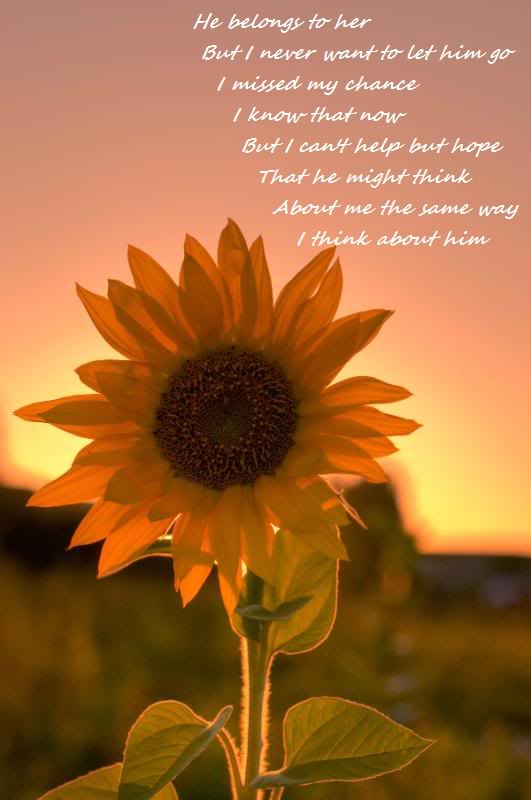 Sunflower Friendship Quotes. QuotesGram