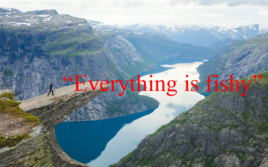 tidiness in a sentence