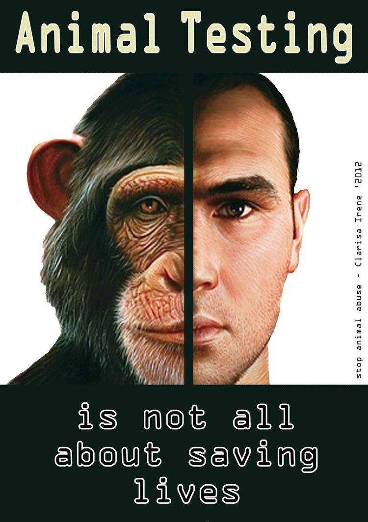 Animal Research Quotes QuotesGram