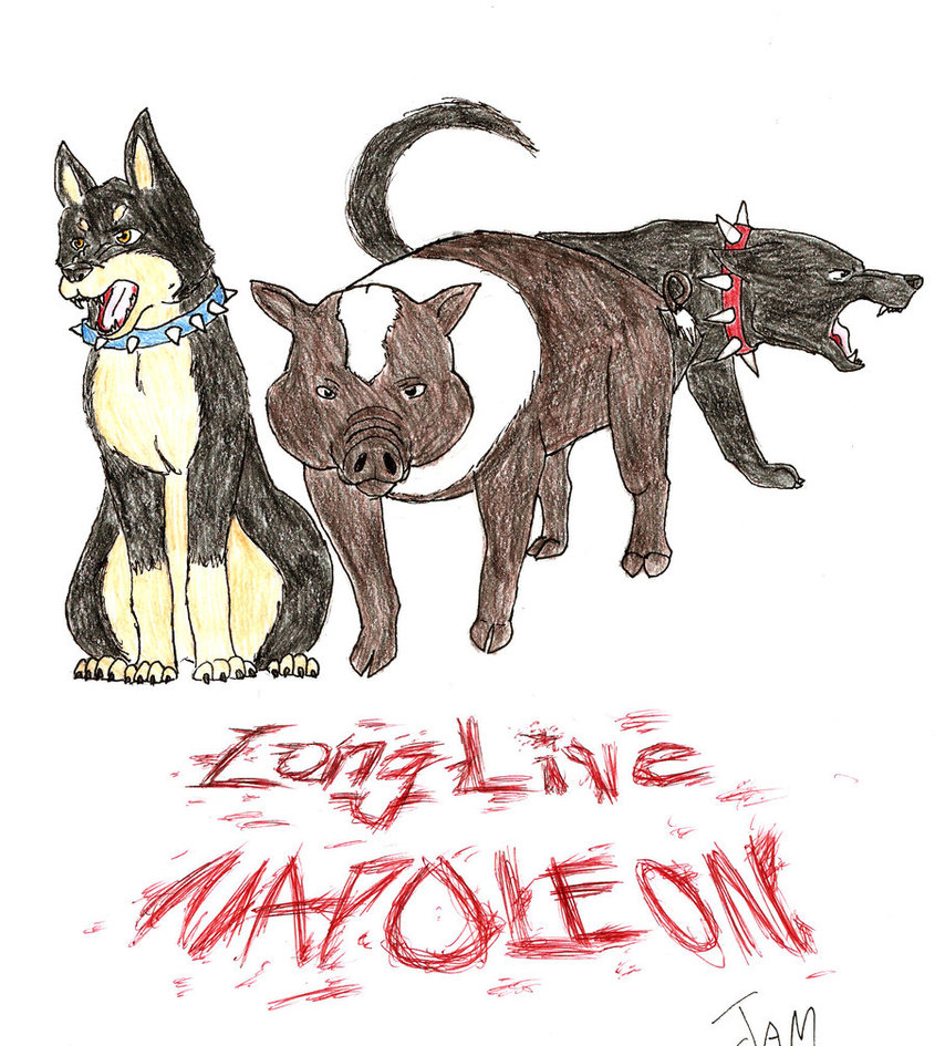 Dogs In Animal Farm Quotes Quotesgram