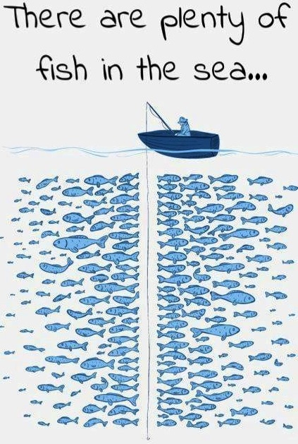 Is there really plenty of fish in the sea?