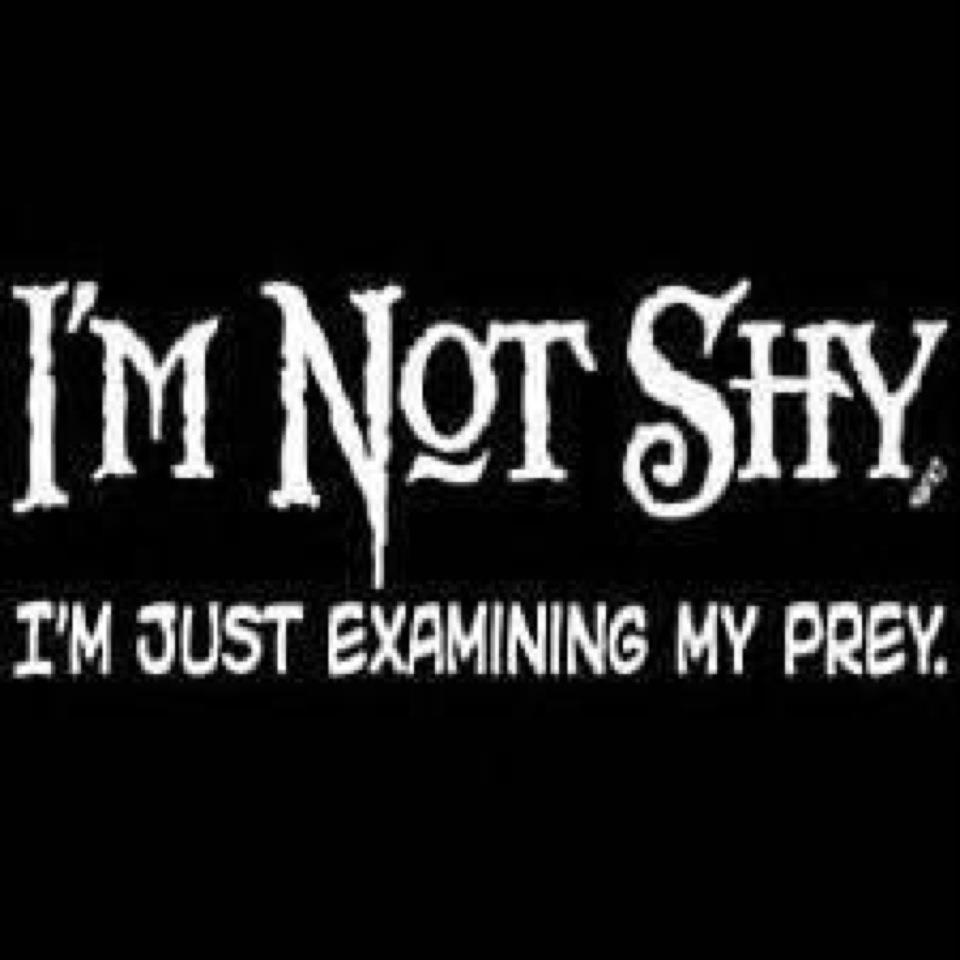 I m shy перевод