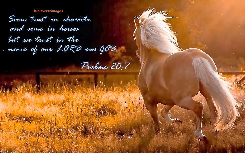 Horse Pictures With Scripture