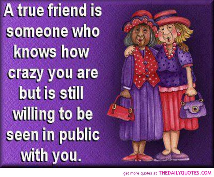Crazy Funny Quotes About Friends. QuotesGram
