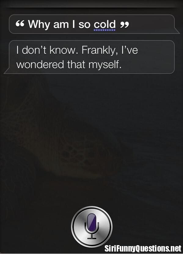 I Am So Cold Funny Quotes. QuotesGram