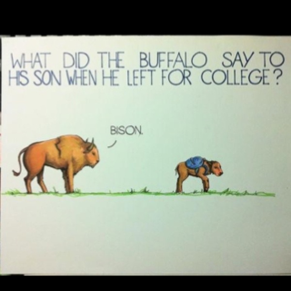 About Buffalo. QuotesGram