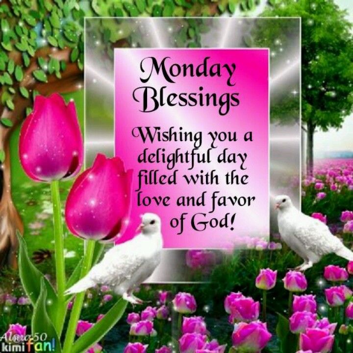 Blessed Monday Images And Quotes Have A Blessed Monday Quotes. Quotesgram