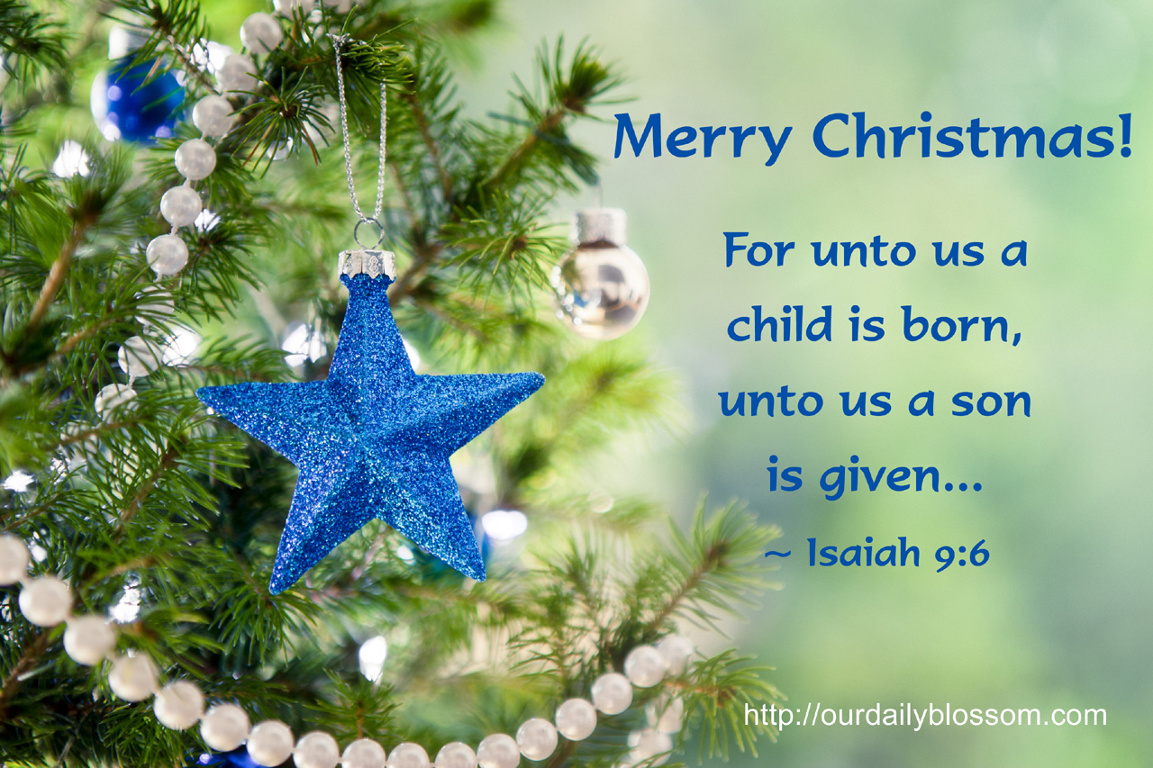 Merry Christmas Bible Quotes. QuotesGram
