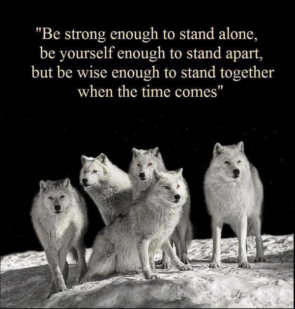 Wolf Love Quotes. QuotesGram