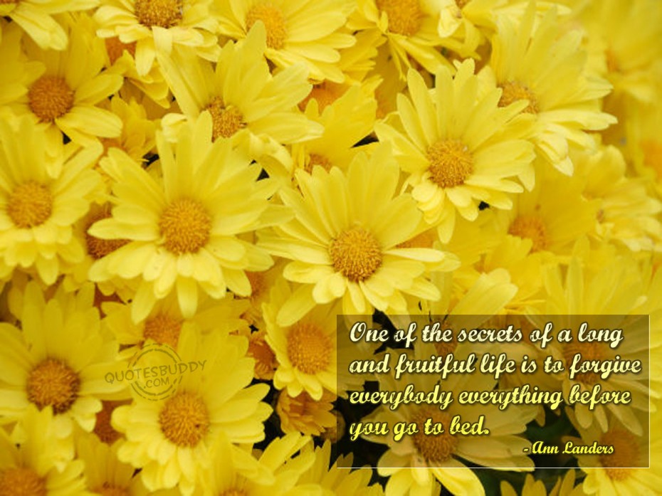 Quotes About Life And Flowers. QuotesGram