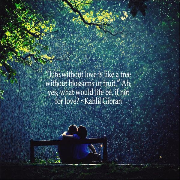 Life Without Love Quotes. QuotesGram