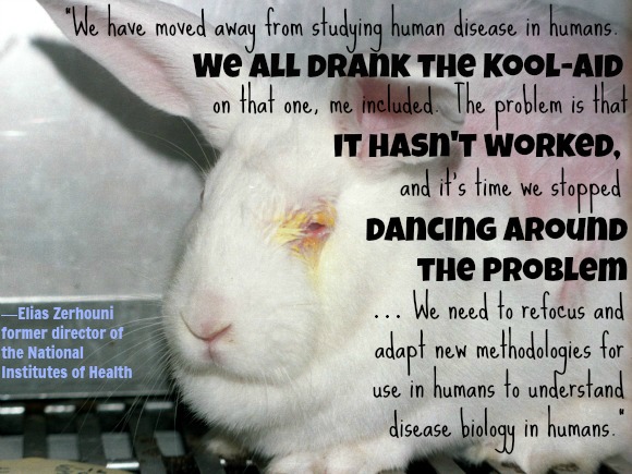 Famous Quotes On Animal Testing. QuotesGram