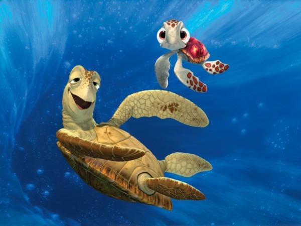 Crush From Finding Nemo Quotes. QuotesGram