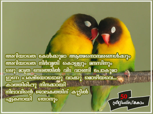 Love Bird Quotes. QuotesGram