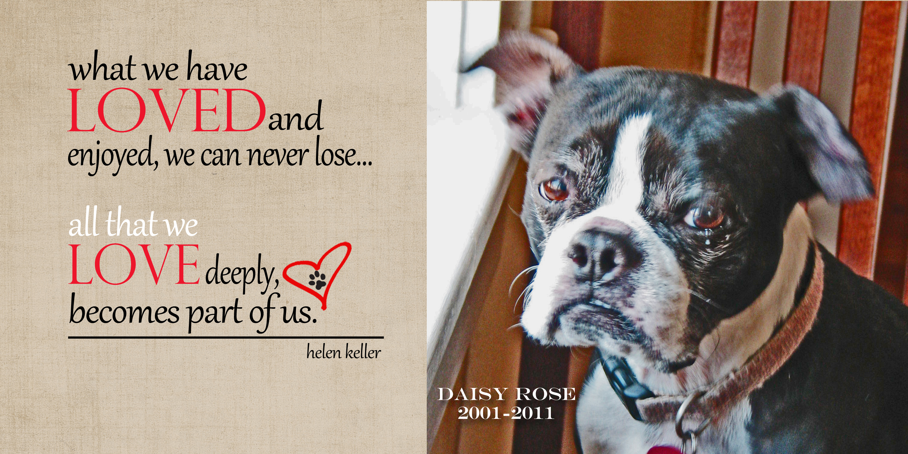 Dog Passed Away Quotes QuotesGram