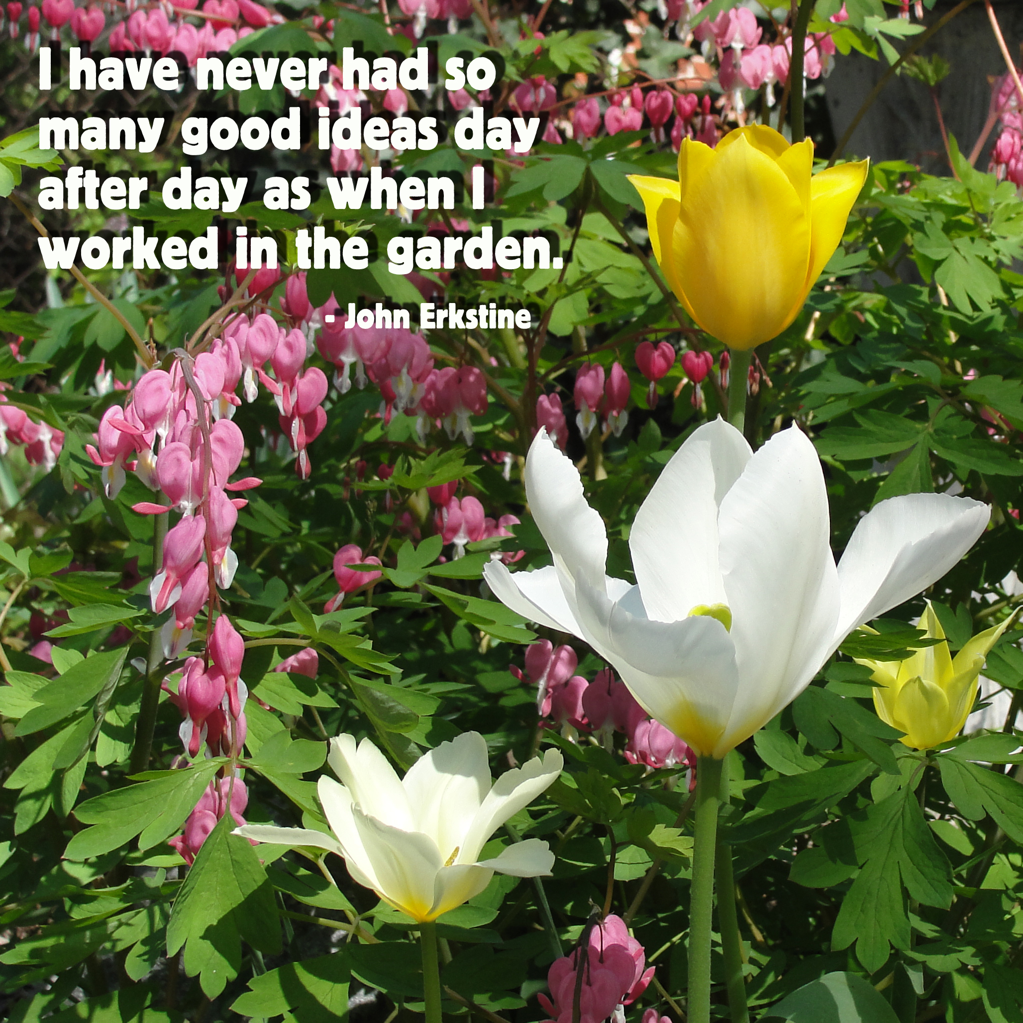 Famous Quotes Herb Garden. QuotesGram
