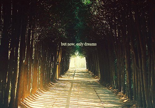 Forest Jungle Quotes Quotesgram