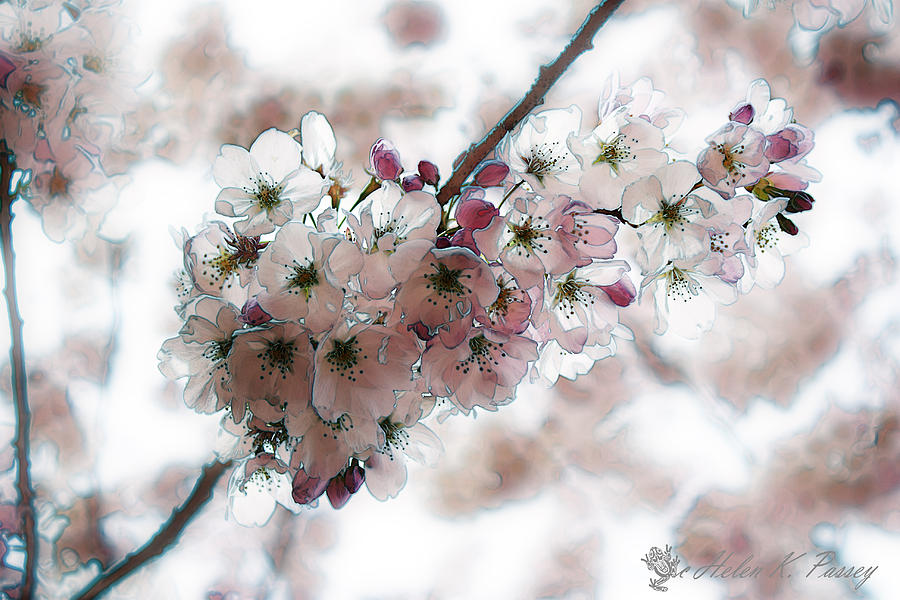 Winter Mixed Flowers Quotes. QuotesGram