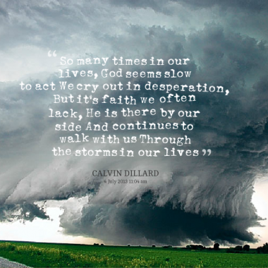 Weathering The Storms Of Life Quotes. QuotesGram