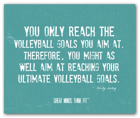 Teamwork Quotes Volleyball. QuotesGram