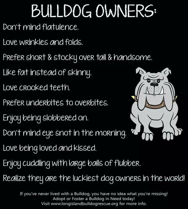 English Bulldog Quotes. QuotesGram
