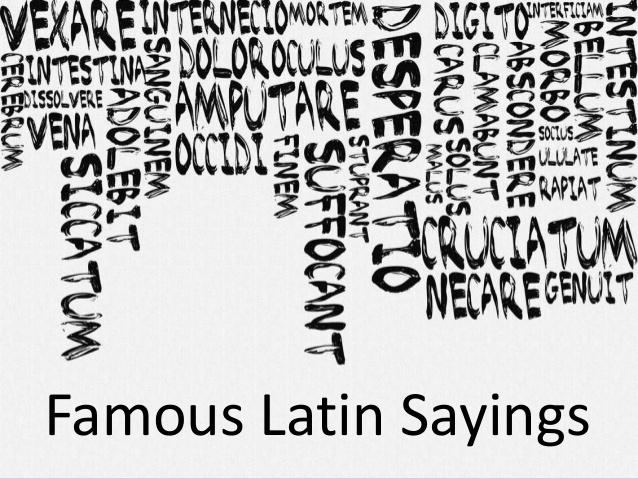 Latin Quotes On Education. QuotesGram