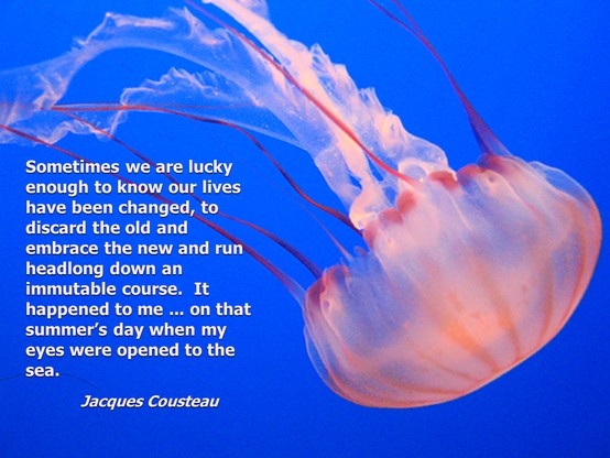 Marine Biologist Quotes. QuotesGram