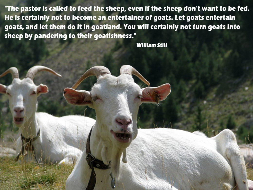 Goat Quotes. 