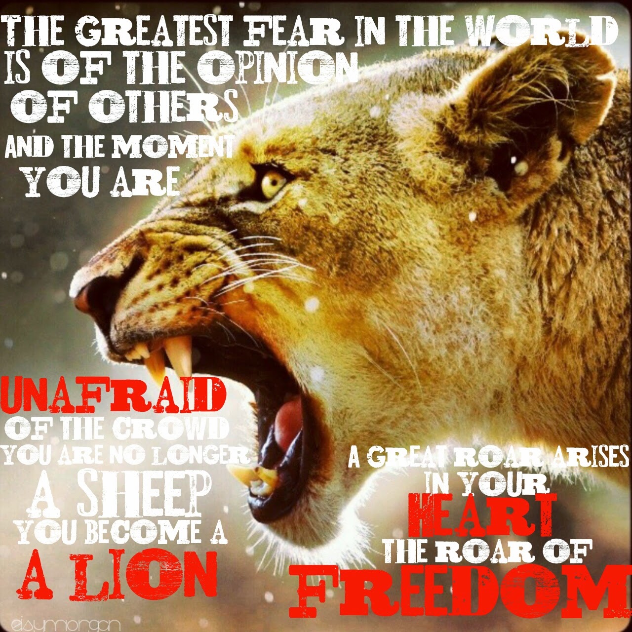 Lion And Lioness Quotes. QuotesGram by @quotesgram | Lion 