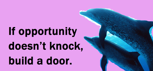 Inspirational Quotes About Dolphins. QuotesGram Inspirational Quotes About Dolphins. QuotesGram