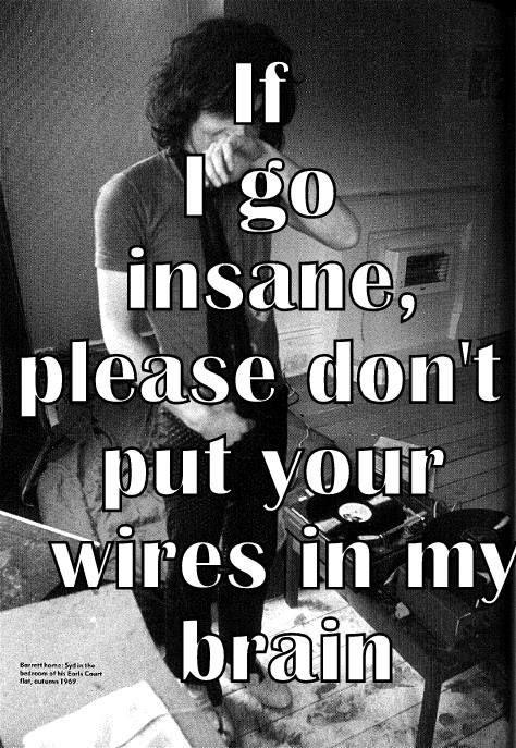 Brain Damage Pink Floyd Quotes Quotesgram