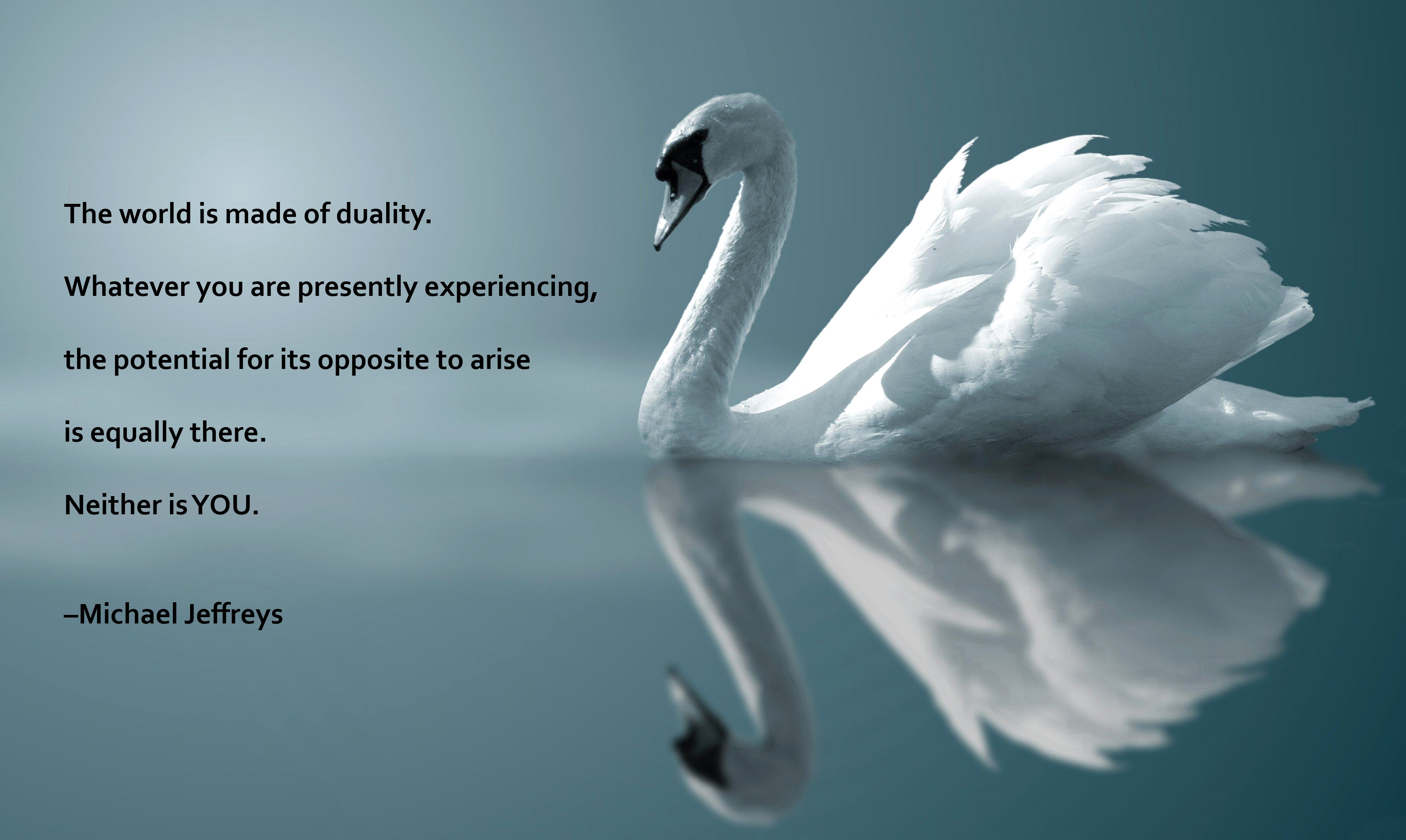 Duality Of Life Quotes. QuotesGram