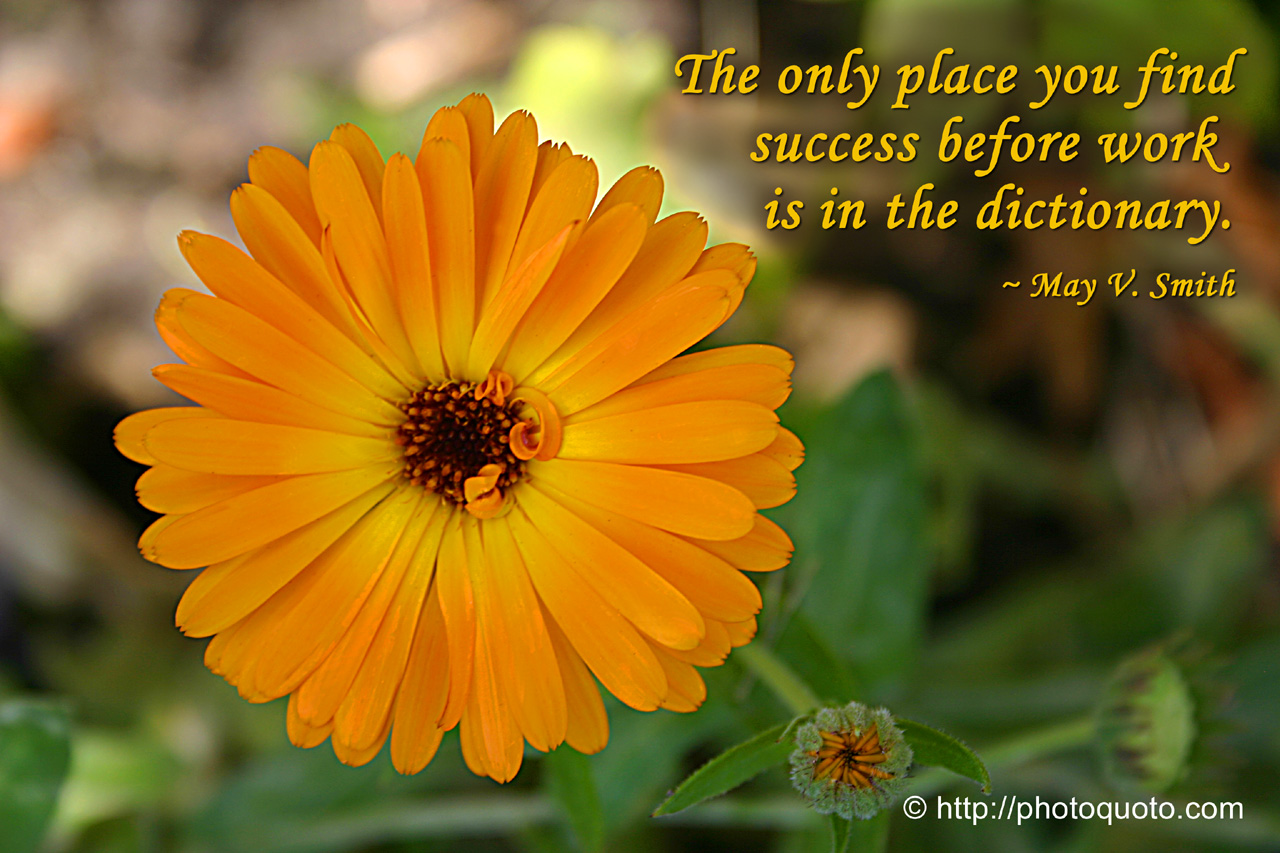 May Quotes And Sayings. QuotesGram