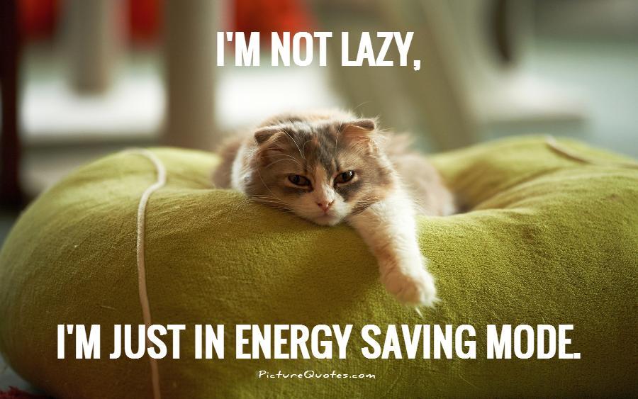 Lazy Cat Quotes Lazy Cat Quotes