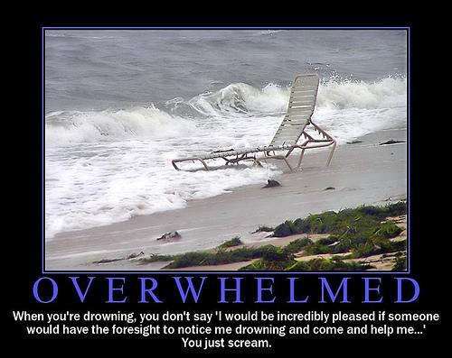 Funny Quotes About Feeling Overwhelmed. QuotesGram