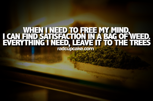 Stoner Quotes And Sayings. QuotesGram