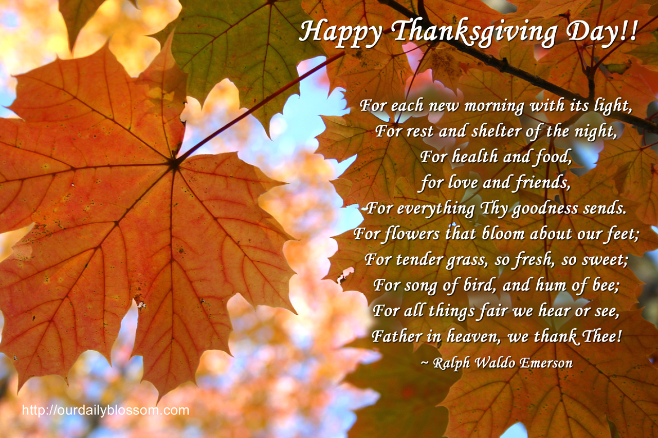 Happy Thanksgiving Friends And Family Quotes. QuotesGram