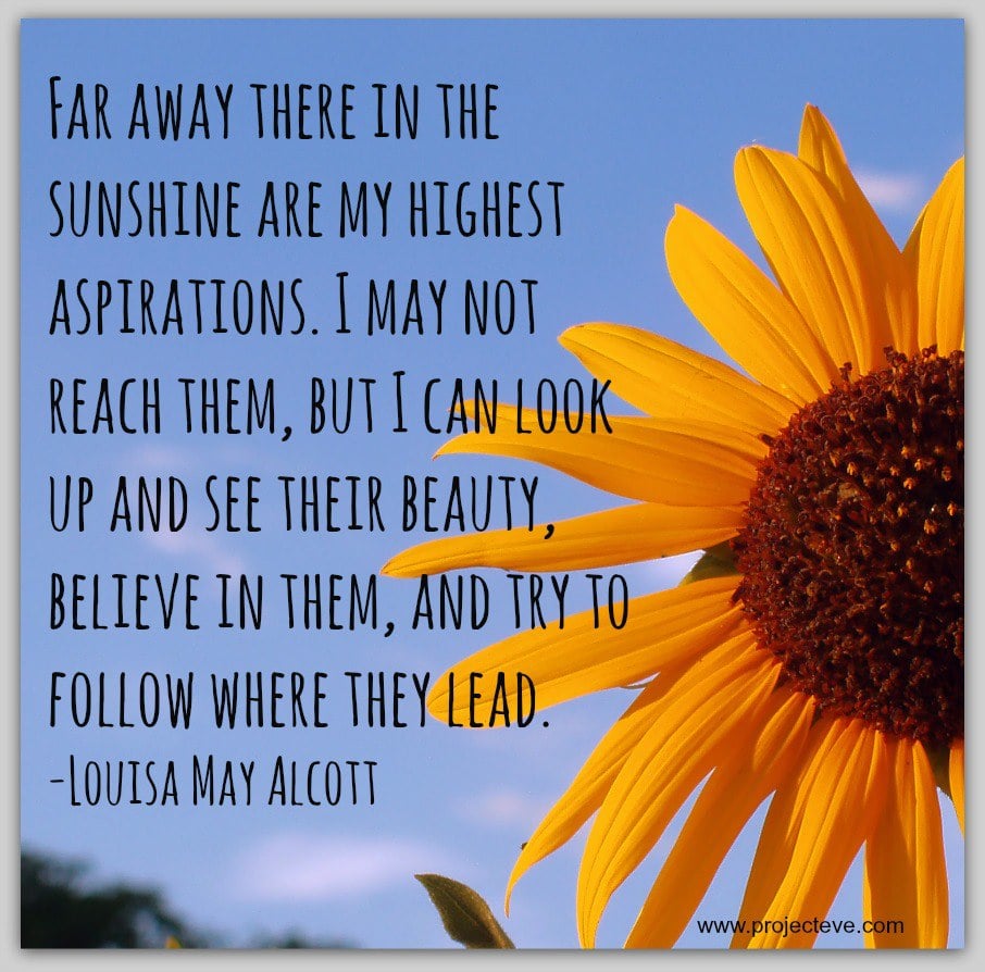 Sunflower Seed Sayings And Quotes Quotesgram