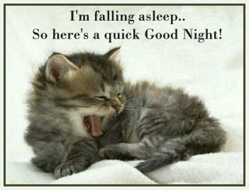 Goodnight Animal Quotes. QuotesGram Goodnight Animal Quotes. QuotesGram
