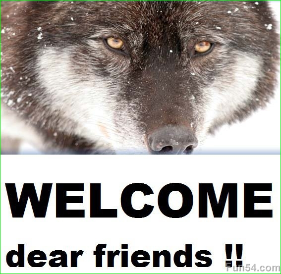Happy Birthday Wolf Images And Quotes. QuotesGram