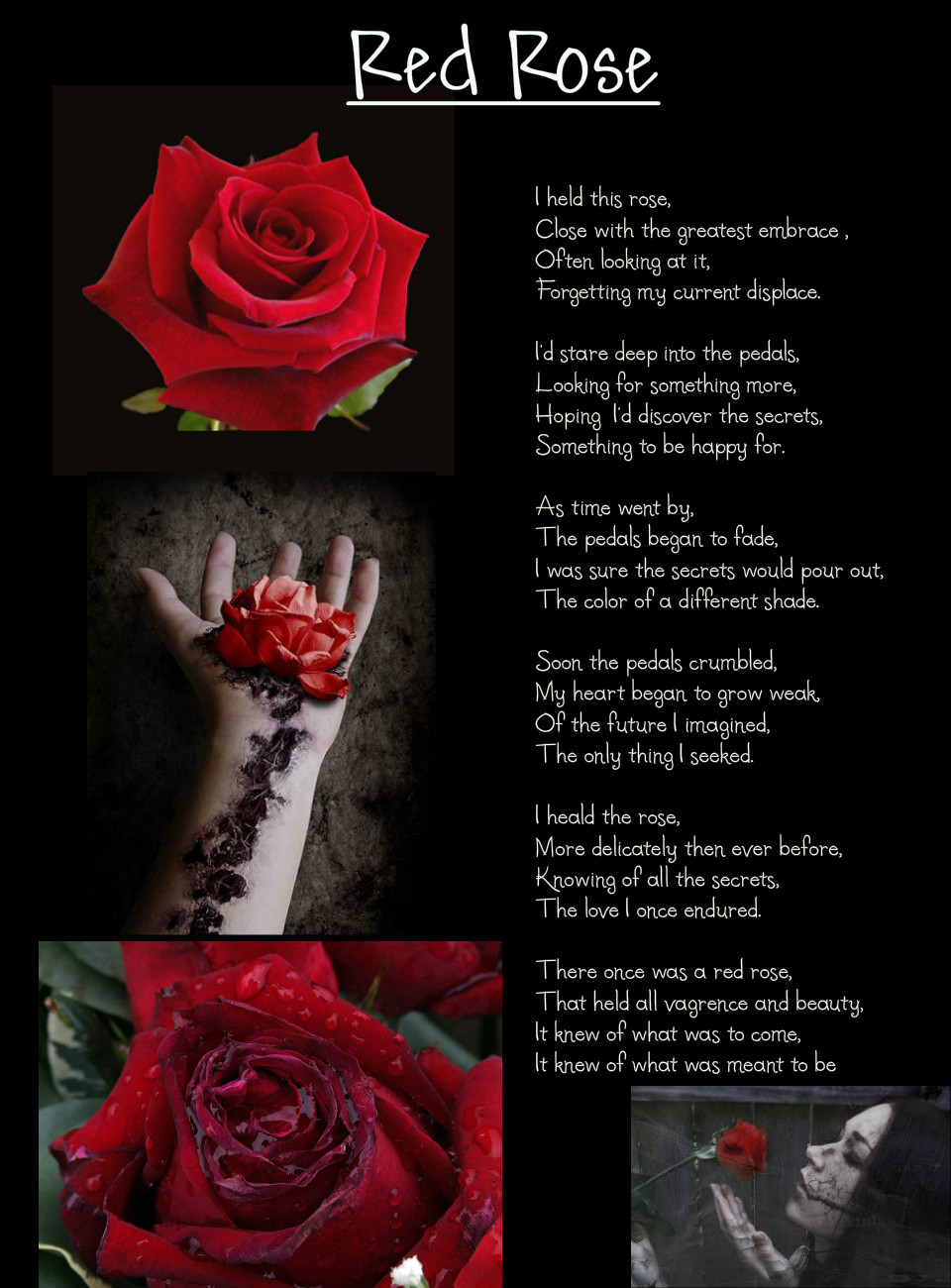 Red Rose Poems And Quotes. QuotesGram