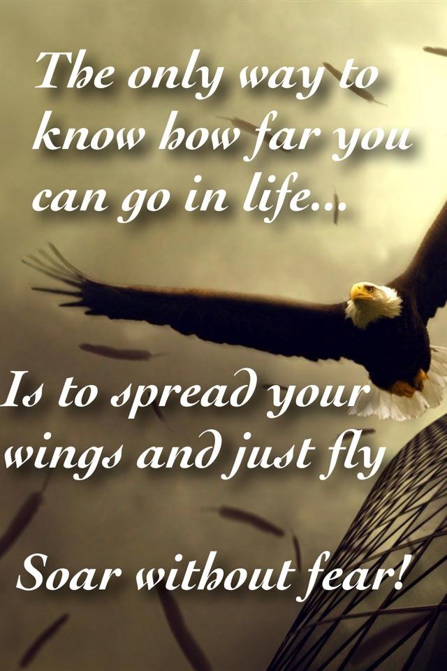 Famous Quotes About Bald Eagles. QuotesGram