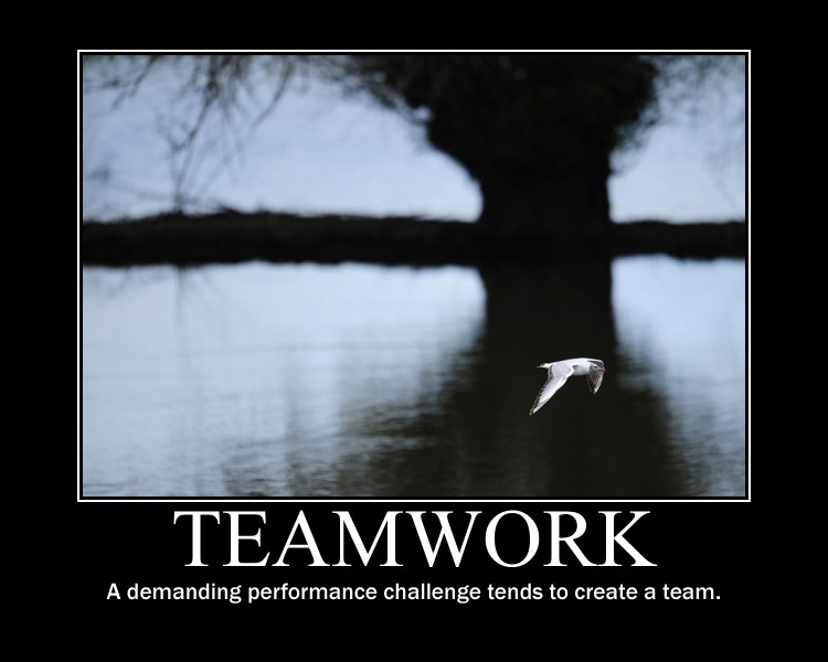 Quotes On Teamwork And Performance. QuotesGram