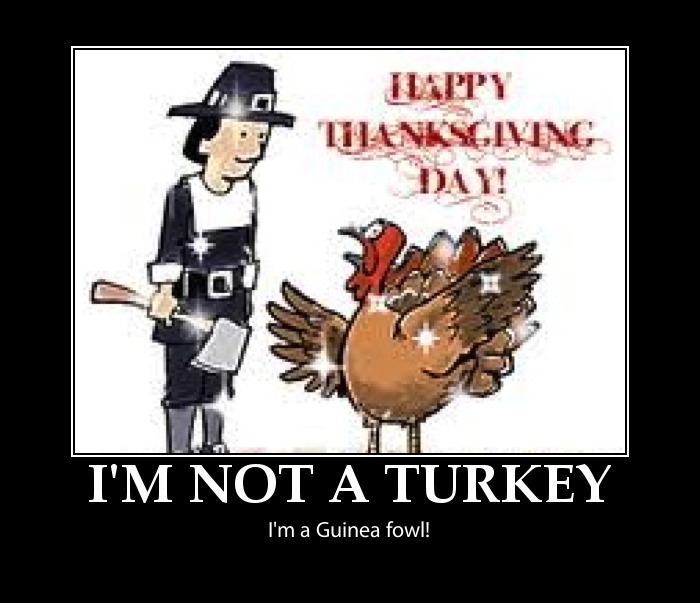 Its the day after thanksgiving linda bobs burgers