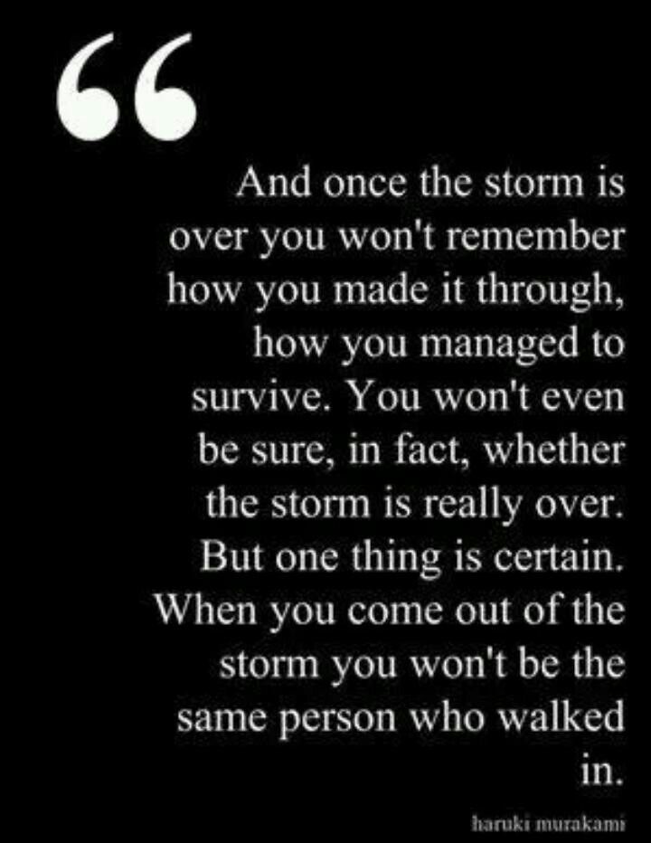 Surviving The Storm Quotes. QuotesGram
