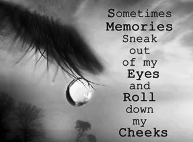 Precious Memories Quotes QuotesGram