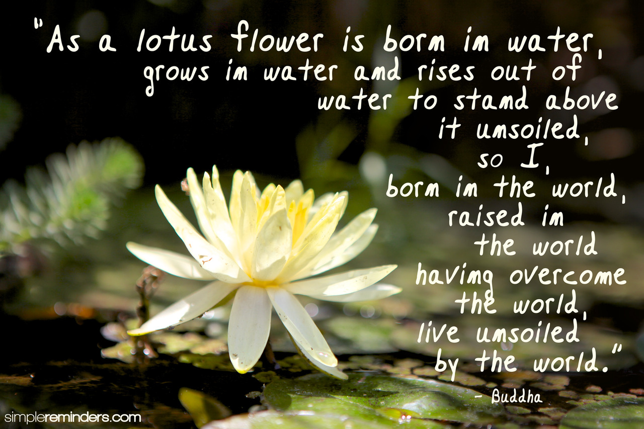Depression Quotes By Buddha. QuotesGram Depression Quotes By Buddha. QuotesGram
