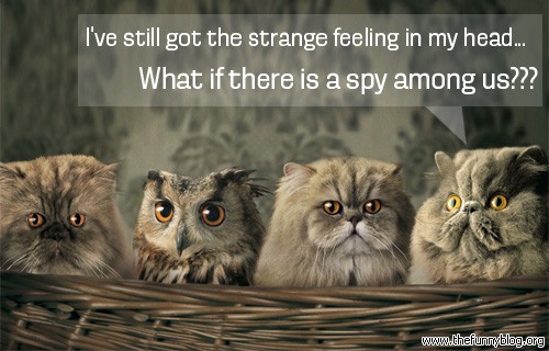 Funny Quotes About Spying. QuotesGram